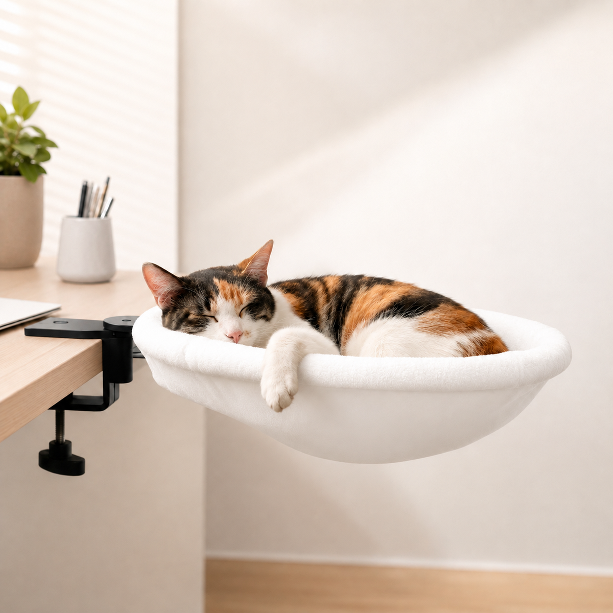 Kitty Cat Bed