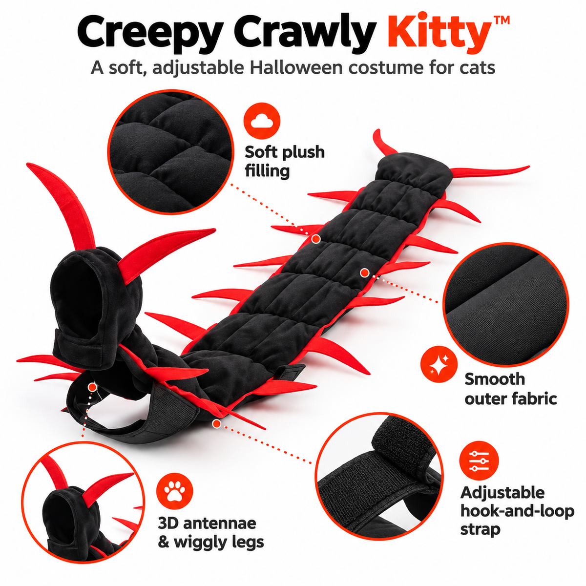 Creey Crawly Kitty