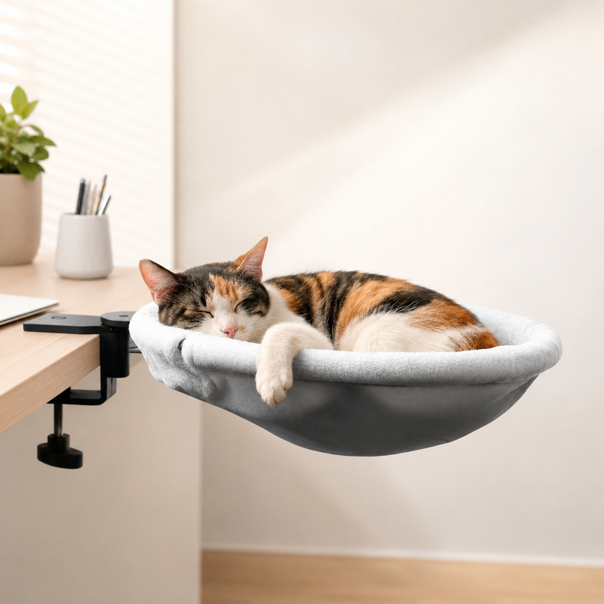 Kitty Cat Bed